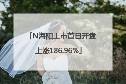 N海阳上市首日开盘上涨186.96%